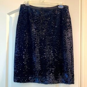 Dark Blue Matte Sequined Skirt
